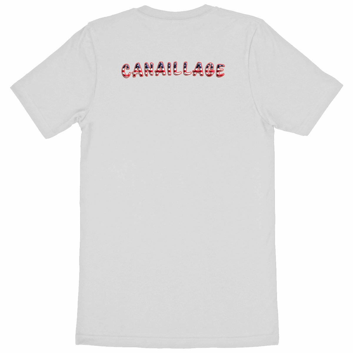 T-shirt homme canaillage USA - dos_blanc