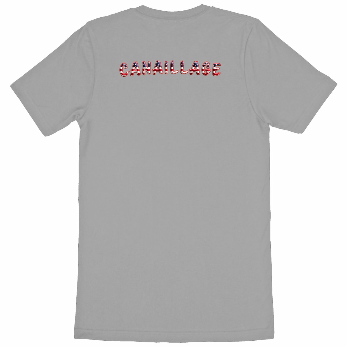 T-shirt homme canaillage USA - dos_gris